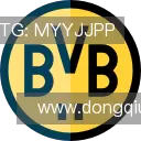 介绍懂球帝体育