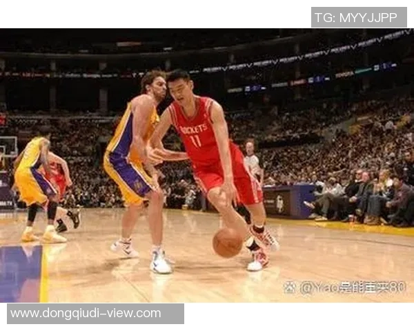 田总与姚明的篮球传奇：从商业合作到体育精神的深度交融